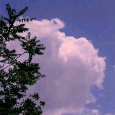 万博全站ManBetX官网